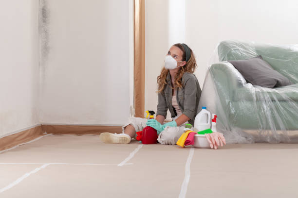 Reliable Basement Mold Remediation contractor in Trenton, TN by WQB Mold Removal
